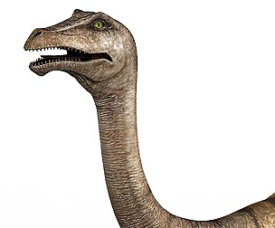 Gallimimus Dinosaur