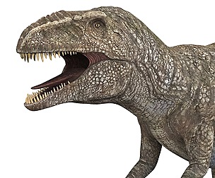 Giganotosaurus Dinosaur