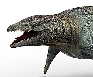 Mosasaurus Dinosaur