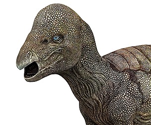 Pachycephalosaurus Dinosaur