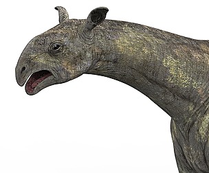 Paraceratherium Dinosaur