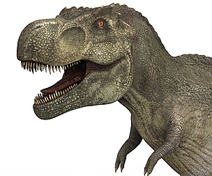 Tyrannosaurus Dinosaur