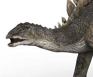 Stegosaurus Dinosaur