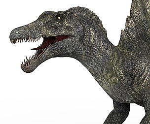 Spinosaurus Dinosaur
