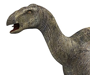 Iguanodon Dinosaur
