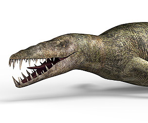 Liopleurodon Dinosaur