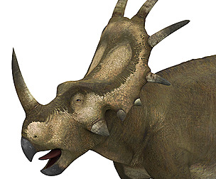 Styracosaurus Dinosaur