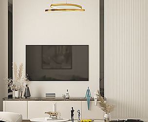 Living Room interior Design