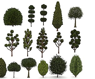 A set of 16 trees