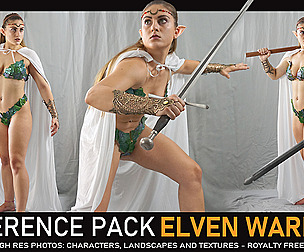 Elven Warrior 500+ Reference Pictures
