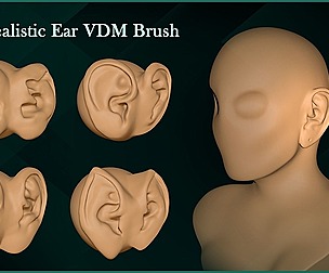14 Realistic / Humanoid Ear VDM Brush / FBX / OBJ