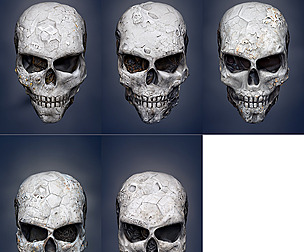 AI_WEATHERED_SKULL_01