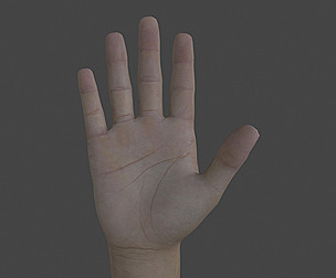 HAND-036 Counting Animation