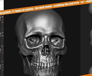 Sculpting the human skull