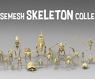 25 basemesh sketelon collection