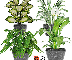 Collection plant one - blender - 3dmax - leaf