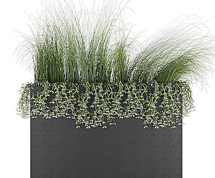 Plant 008 - grass - leaf- ble - 3ds - c4d
