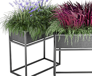 Collection Plant Vol 10 - grass - ble - 3ds - c4d