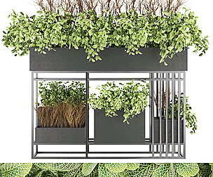 Collection plant vol 13 - leaf - ble - 3ds - c4d