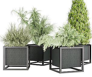 Collection plant vol 14 - leaf - ble - 3ds - c4d