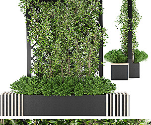 Collection plant vol 16 - ivy - ble - 3ds - c4d