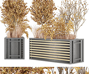 Collection plant vol 20 - leaf - ble - 3ds - c4d