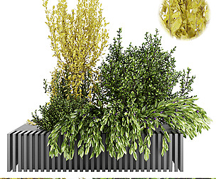 Collection plant vol 23 - leaf - ble - 3ds - c4d