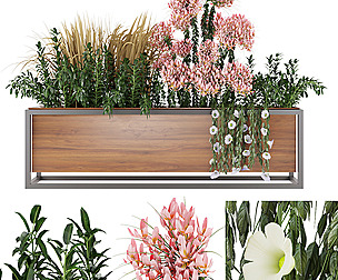 Collection plant vol 27 - flower - ble - 3ds - c4d