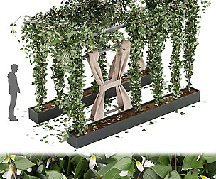 Collection plant vol 28 - ivy - ble - 3ds - c4d