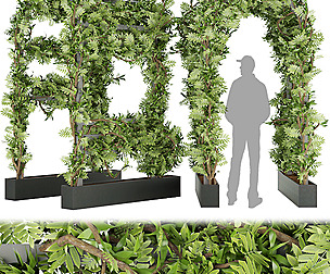 Collection plant vol 29 - ivy - ble - 3ds - c4d