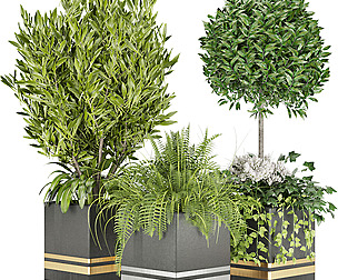 Collection plant vol 31 - leaf - ble - 3ds - c4d