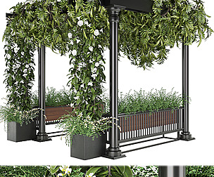 Collection plant vol 33 - ivy - ble - 3ds - c4d