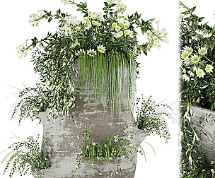 Collection plant vol 35 - grass - ble - 3ds - c4d