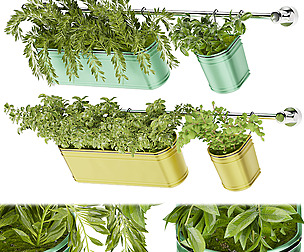 Collection plant vol 38 - leaf - ble - 3ds - c4d