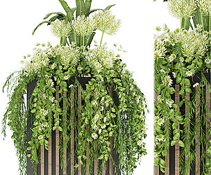 Collection plant vol 42 - ble - 3ds - c4d
