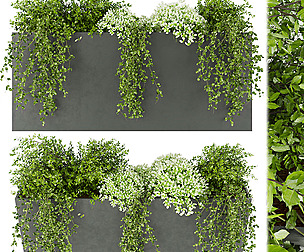 Collection plant vol 48 - bush - ble - 3ds - c4d