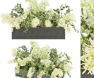 Collection plant vol 52 - flower - ble - 3ds - c4d