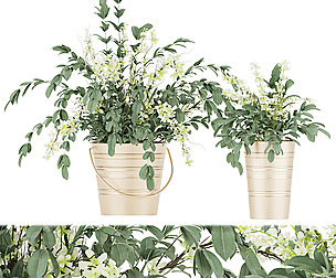 Collection plant vol 53 - flower - ble - 3ds - c4d
