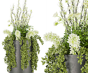 Collection plant vol 54 -flower - ble - 3ds - c4d