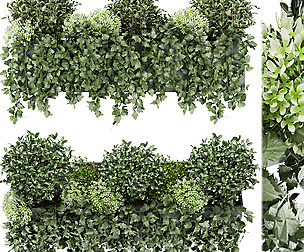Collection plant vol 57 - bush - ble - 3ds - c4d