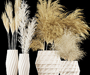 Collection plant vol 59 - dried - ble - 3ds - c4d