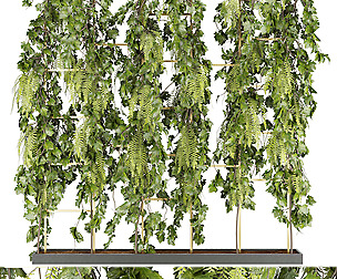 Collection plant vol 62 - ivy - ble - 3ds - c4d
