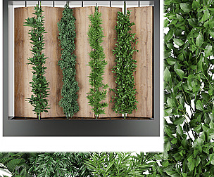Collection plant vol 63 - ble - 3ds - c4d