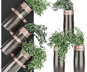 Collection plant vol 64 - leaf - ble - 3ds - c4d