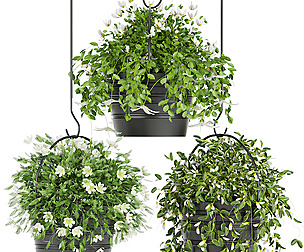 Collection plant vol 66 - ble - 3ds - c4d