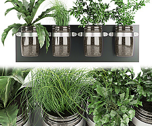 Collection plant vol 67 - leaf - ble - 3ds - c4d