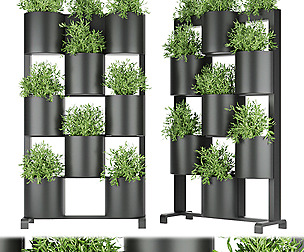 Collection plant vol 68 - leaf - ble - 3ds - c4d