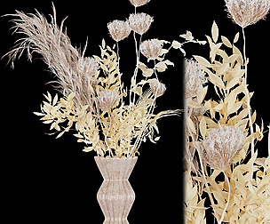 Collection plant vol 75 - dried - ble - 3ds - c4d