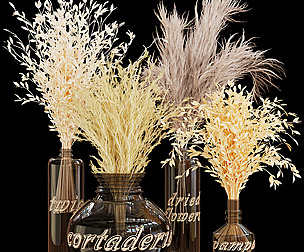 Collection plant vol 76 - dried - ble - 3ds - c4d