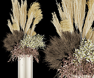 Collection plant vol 77 - dried - ble - 3ds - c4d
